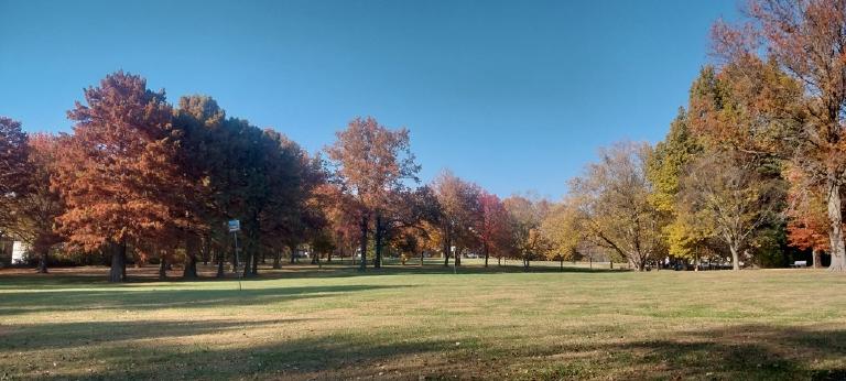 Spindler Park